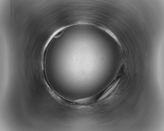 X0000086791148200704271825
