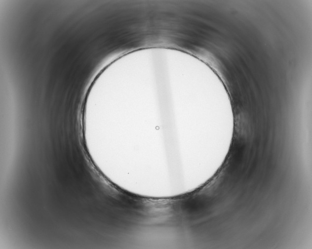 X0000086791150200704271825