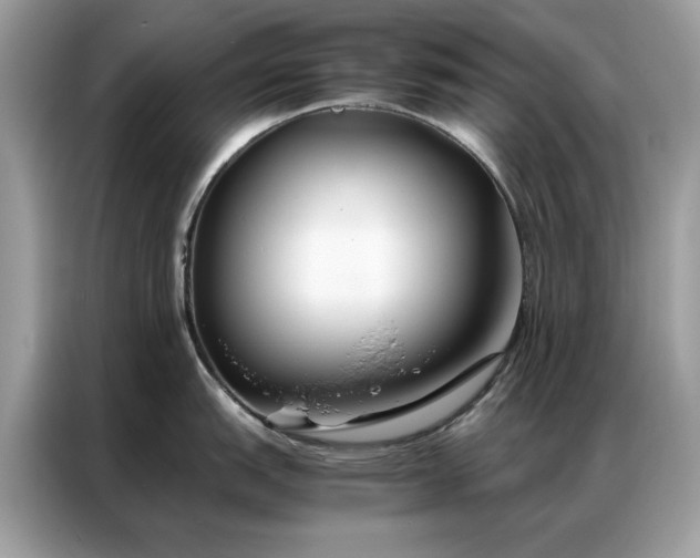 X0000086791151200704271825