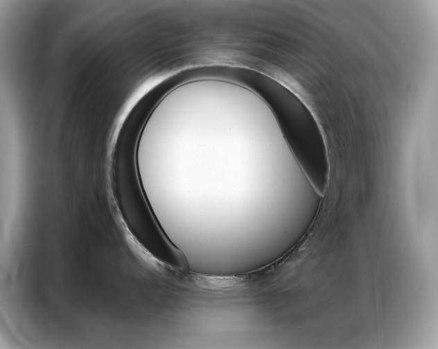 X0000086791152200704271825