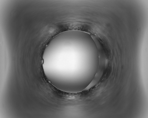 X0000086791153200704271825