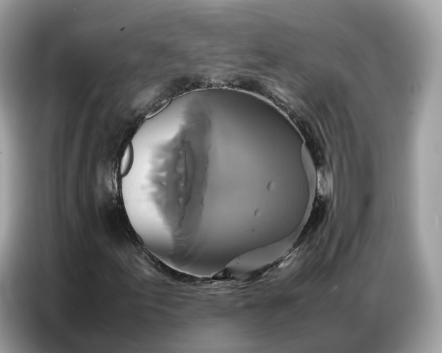 X0000086791155200704271824