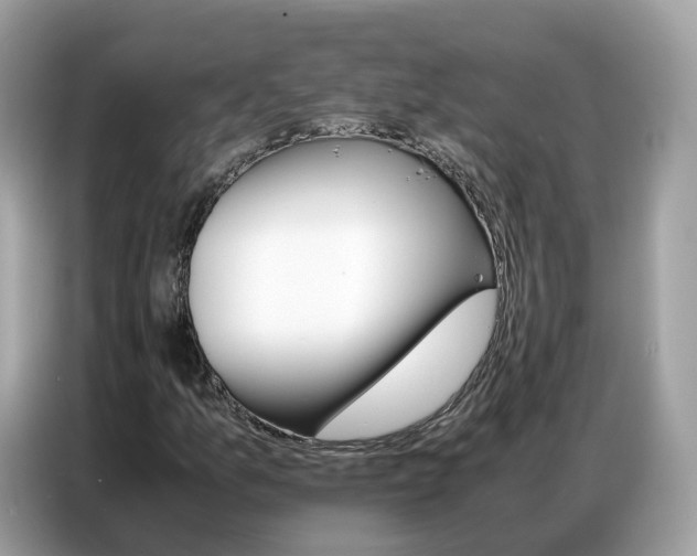 X0000086791157200704271824