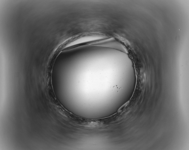 X0000086791160200704271824