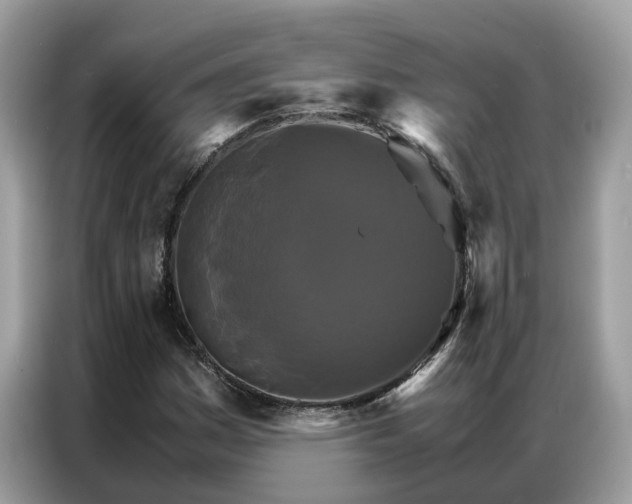 X0000086791161200704271824