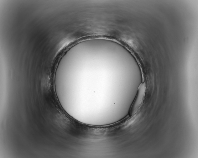 X0000086791163200704271824