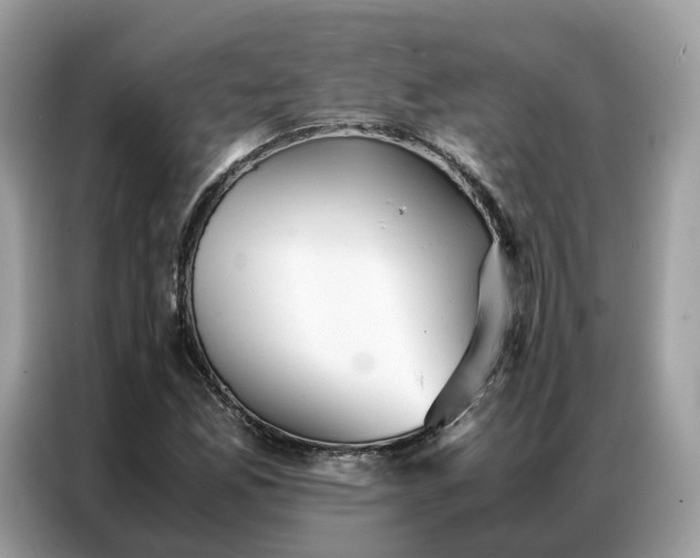 X0000086791165200704271824