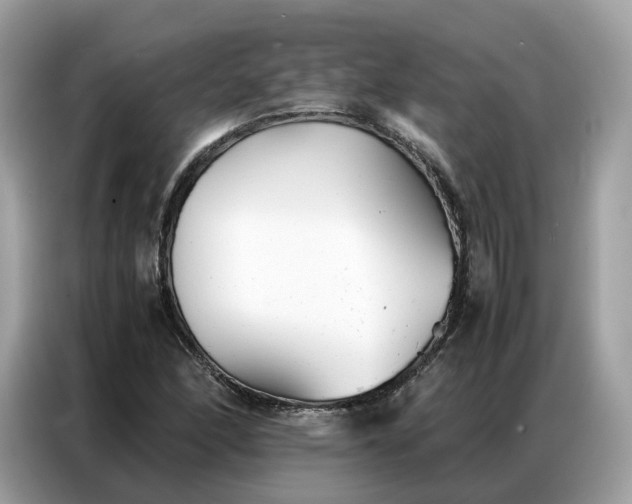 X0000086791166200704271824