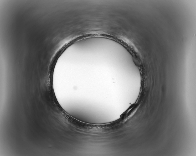 X0000086791167200704271824
