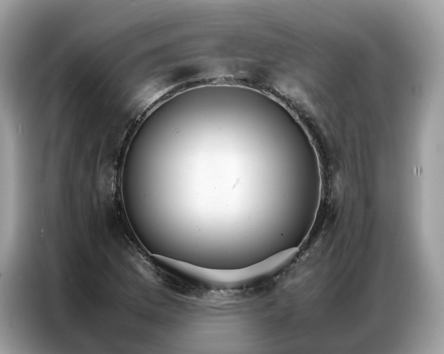 X0000086791169200704271824