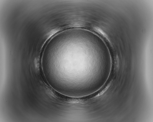 X0000086791170200704271824