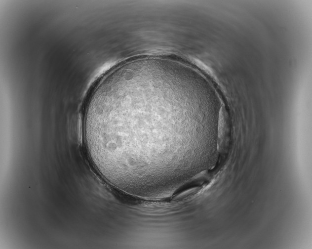 X0000086791171200704271824