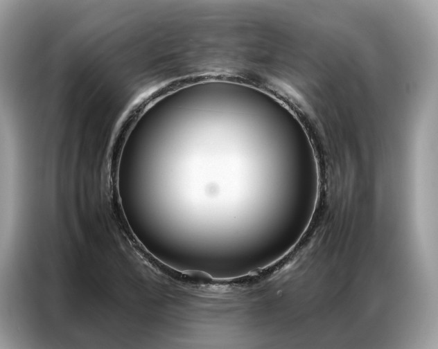 X0000086791172200704271824