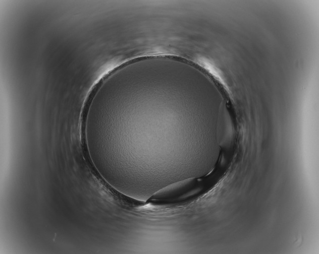 X0000086791173200704271824