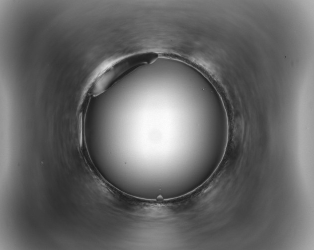 X0000086791175200704271824