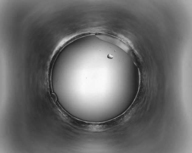 X0000086791176200704271824