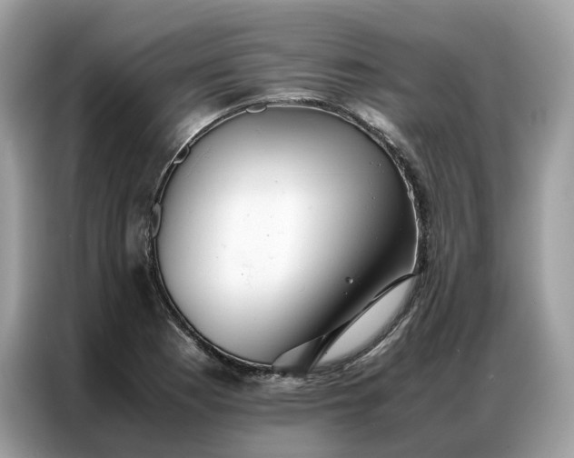 X0000086791177200704271824