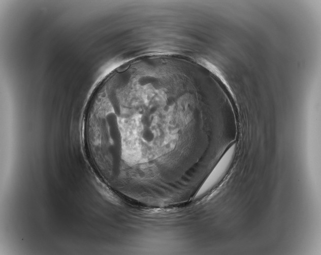 X0000086791179200704271824