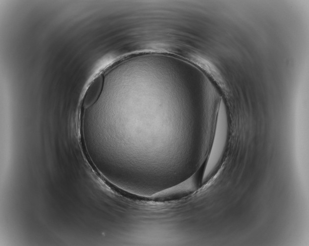 X0000086791180200704271824
