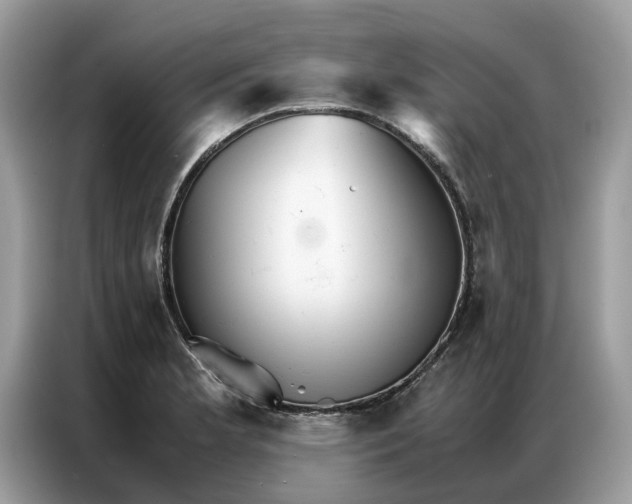 X0000086791181200704271824