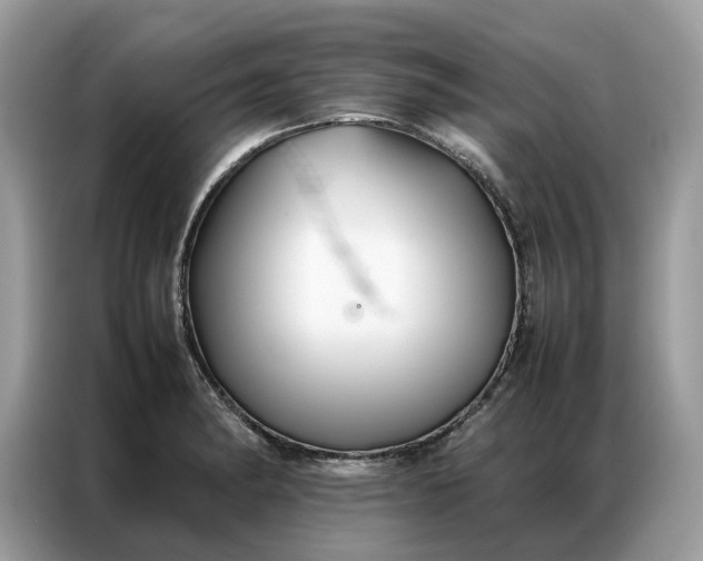 X0000086791182200704271824