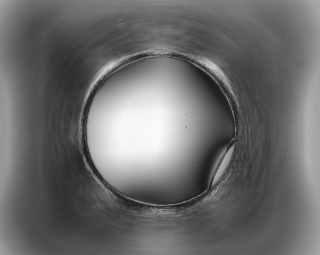 X0000086791183200704271824