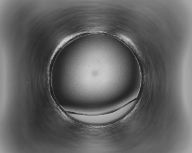 X0000086791184200704271824
