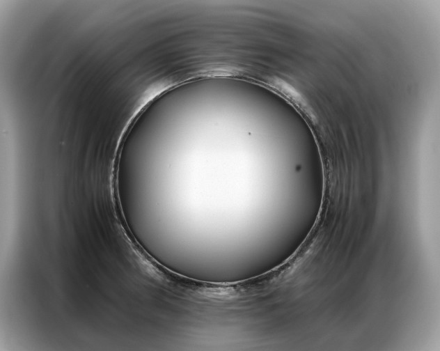 X0000086791186200704271824