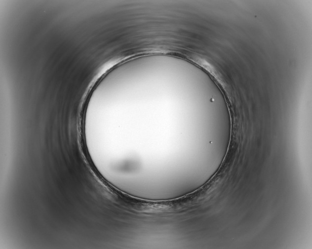 X0000086791187200704271824