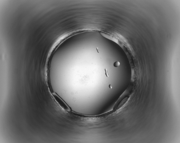 X0000086791188200704271824