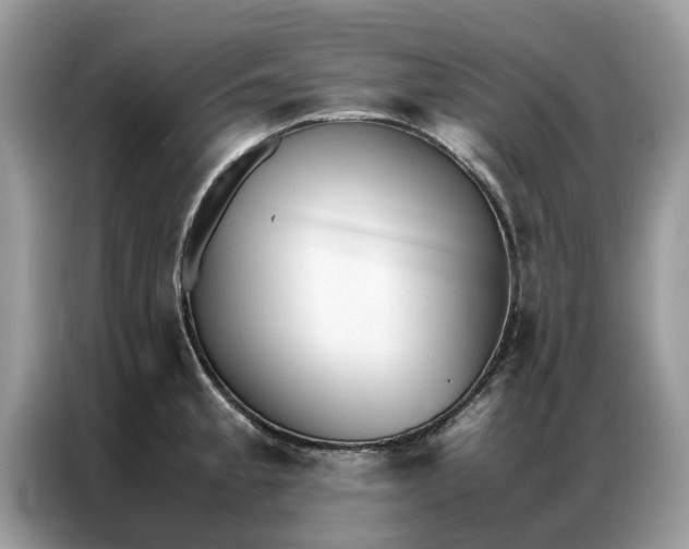 X0000086791189200704271824