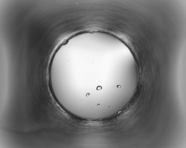 X0000086791191200704271824