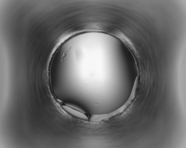 X0000086791192200704271824