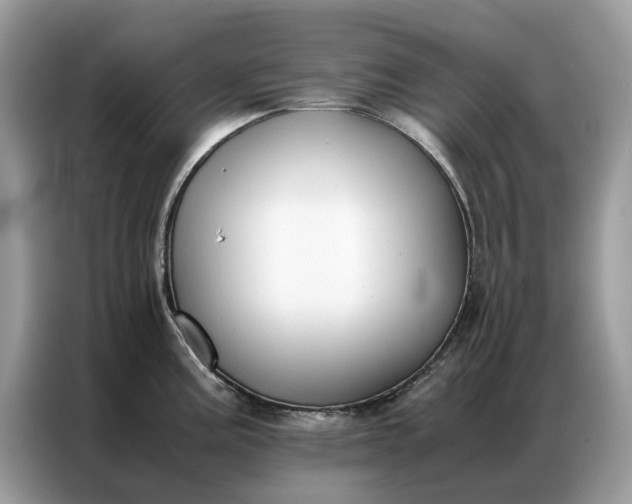 X0000086791195200704271824