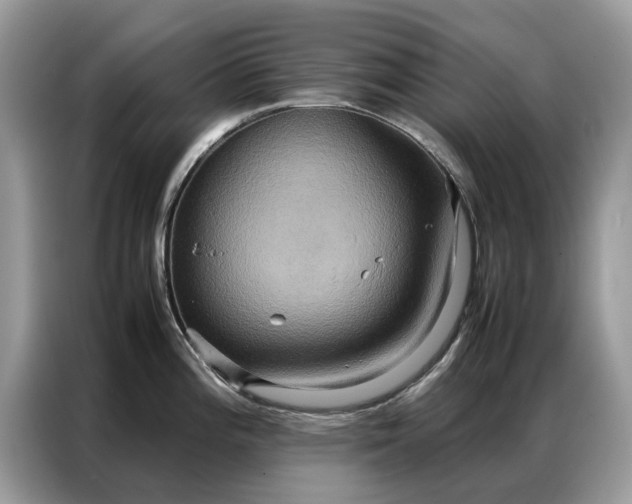 X0000086791196200704271824
