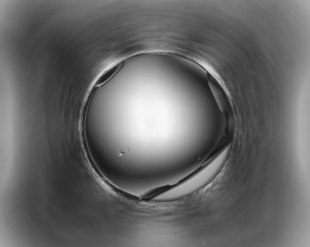 X0000086791197200704271824