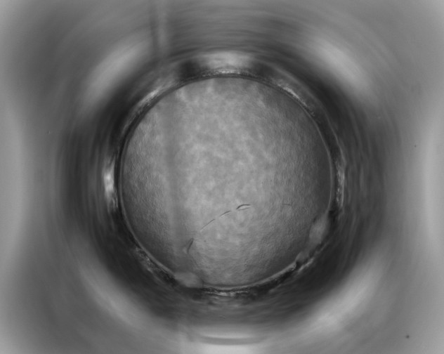X0000086791198200704271824