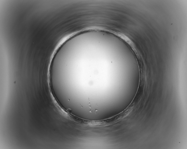X0000086791199200704271824