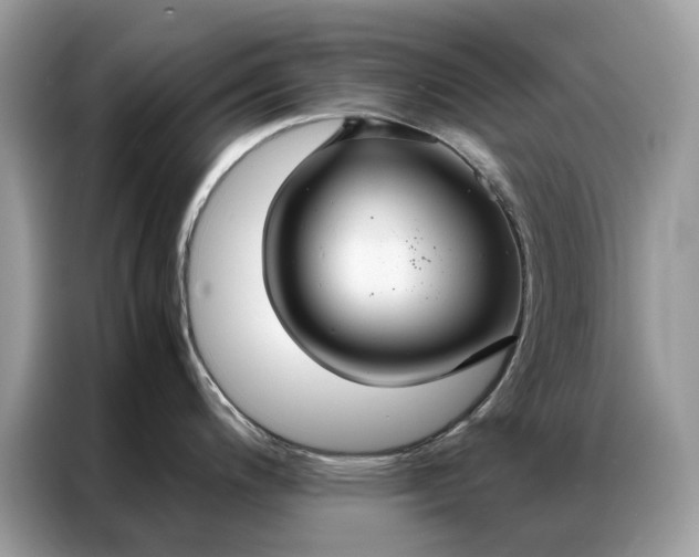 X0000086791200200704271824