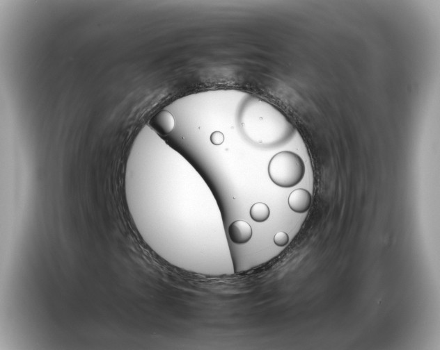 X0000086791201200704271823