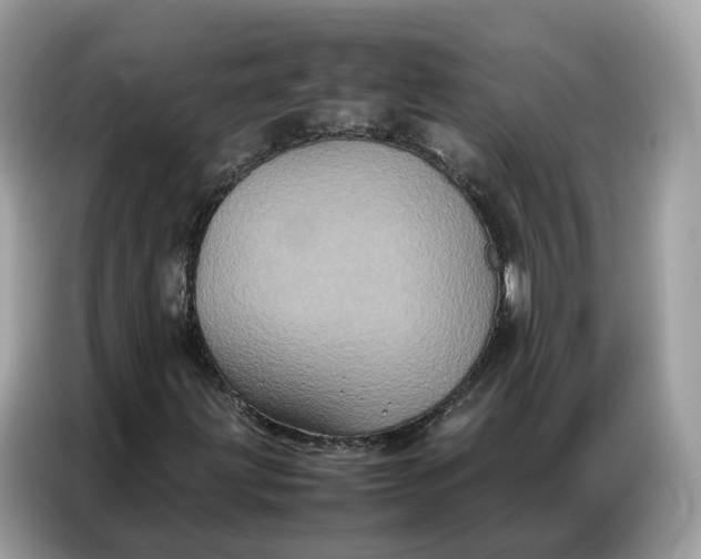 X0000086791203200704271823