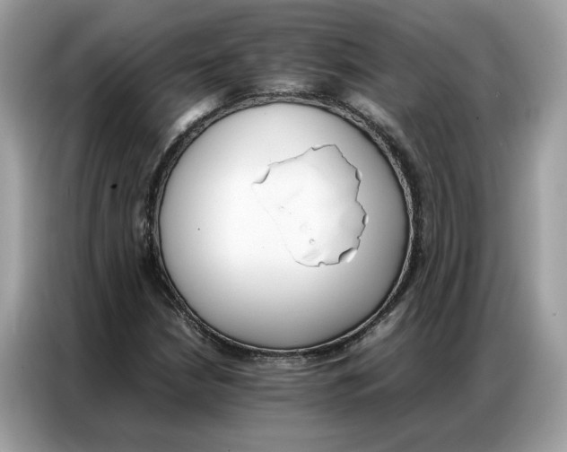 X0000086791210200704271823