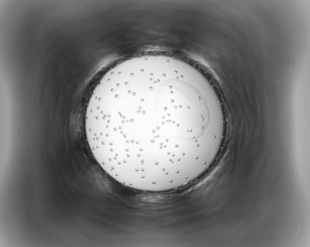 X0000086791211200704271823