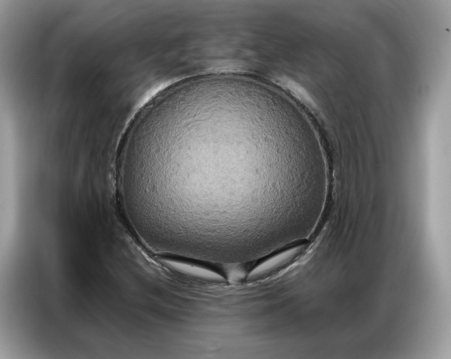 X0000086791212200704271823