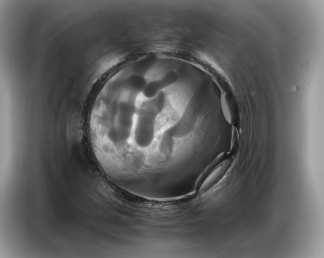 X0000086791213200704271823