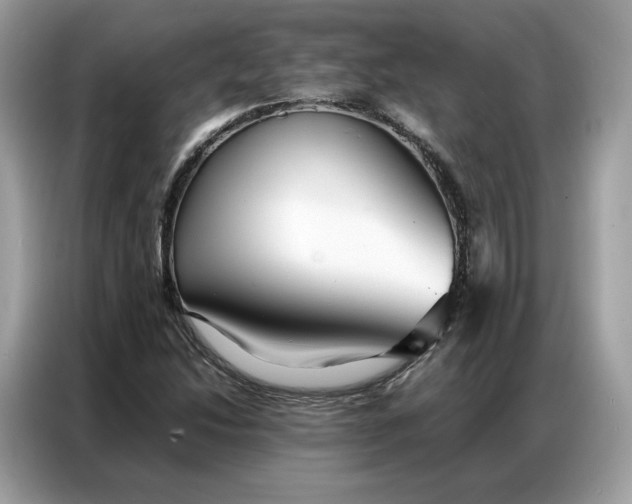 X0000086791214200704271823