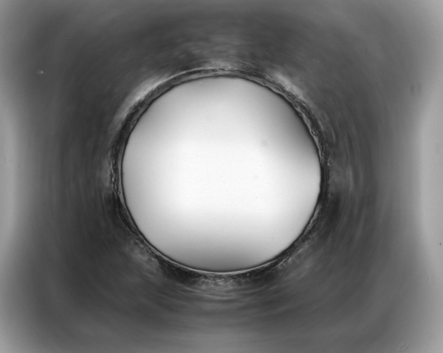X0000086791215200704271823