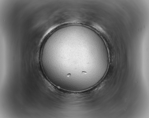 X0000086791216200704271823