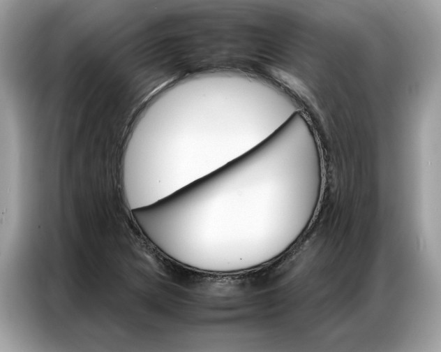 X0000086791217200704271823