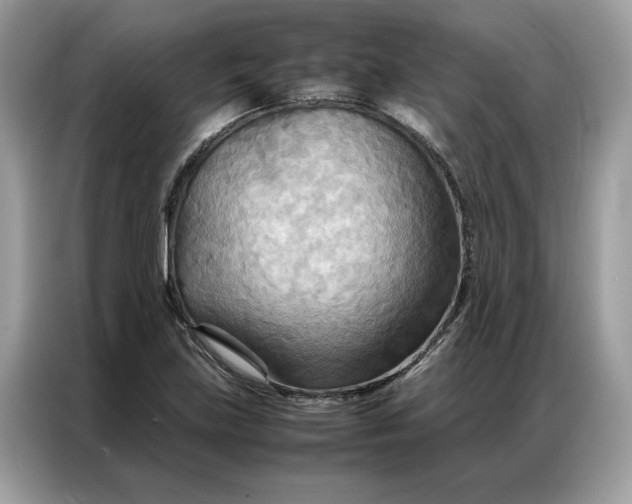 X0000086791219200704271824